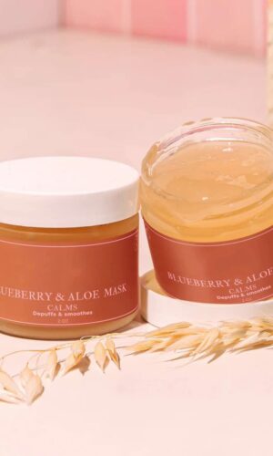 Blueberry & Aloe Mask
